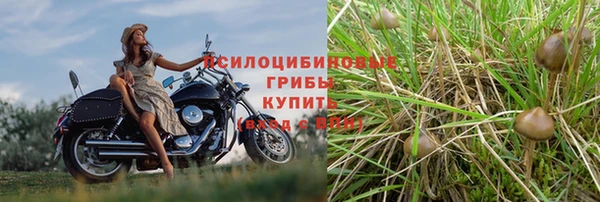 экстази Арсеньев