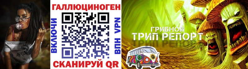 Псилоцибиновые грибы GOLDEN TEACHER  Купить закладки  Суворов 